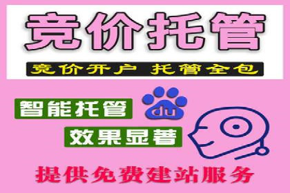 某行业领军企业的SEM广告投放策略